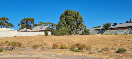 Lot 7, 6 Cleary Street, Port Augusta West, SA 5700