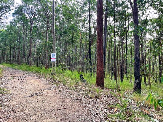 Lot 733-734 Tenterfield Road, North Arm Cove, NSW 2324