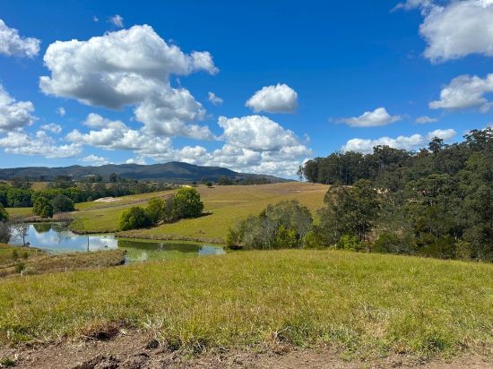 Lot 8 Wallaby Park, Congarinni, NSW 2447