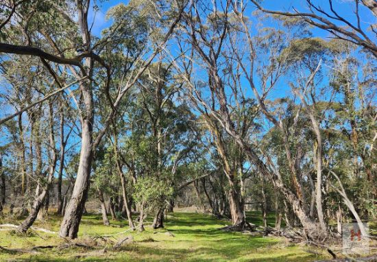 Lot 96, Jumping Creek Lane, Greenlands, NSW 2631