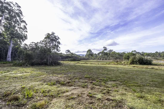 Lune River Rd, Lune River, TAS, 7109