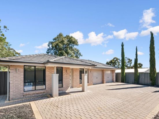 AdProp - North Adelaide RLA199528 - Real Estate Agency