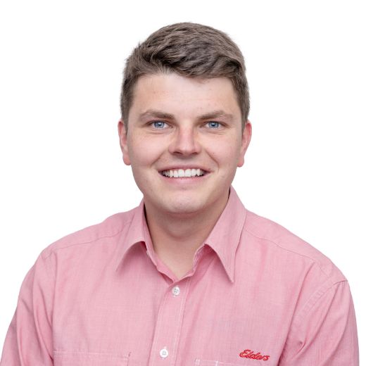 Mason Bonney - Real Estate Agent at Elders - Riverland Mason Bonney - Real Estate Agent at Elders - Riverland