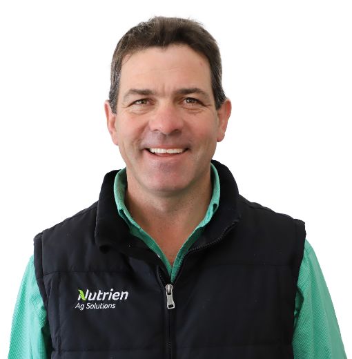 Matthew Green - Real Estate Agent at Nutrien Harcourts NSW -   
