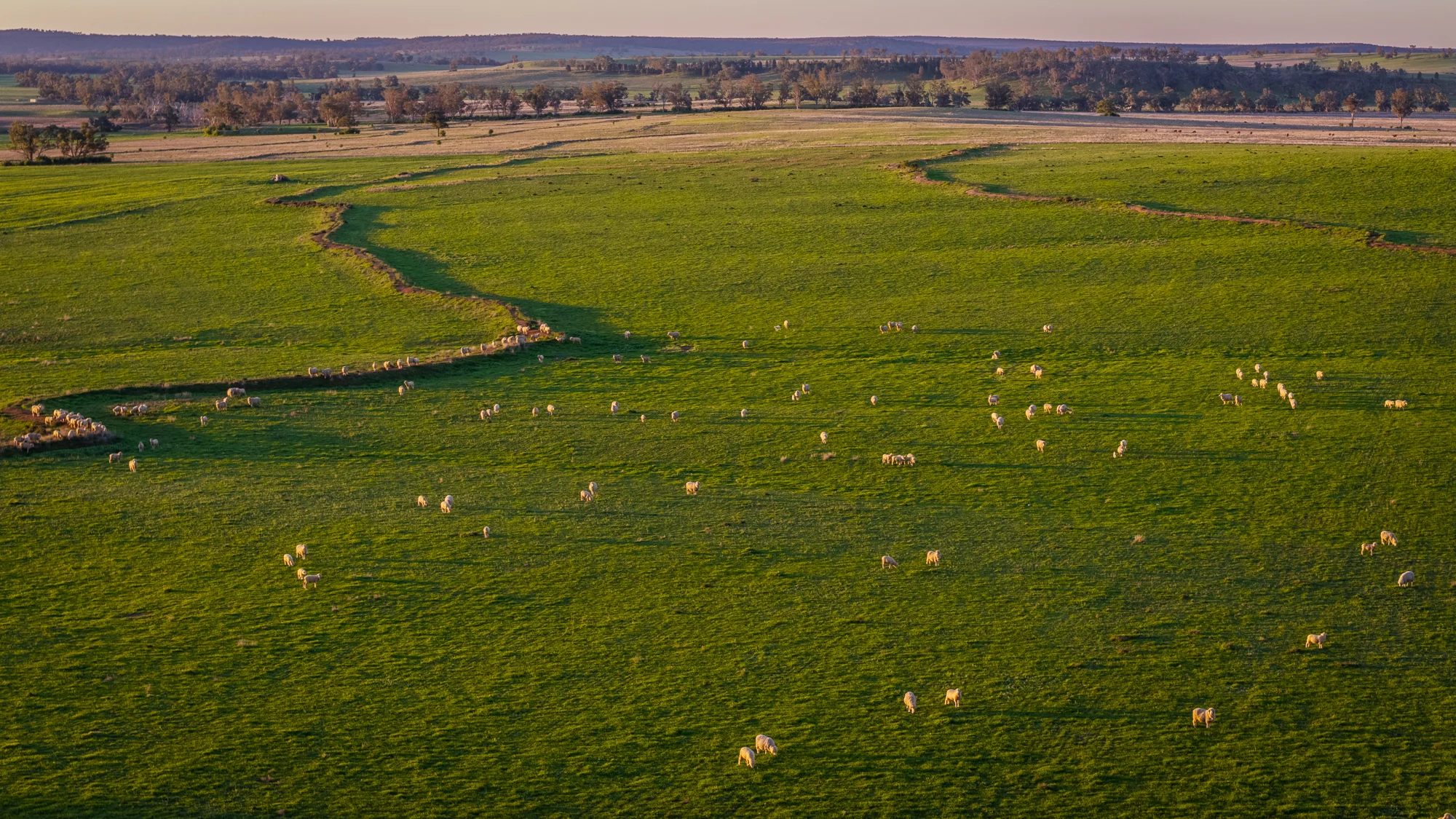12R Quamby Road, Wongarbon, NSW 2831