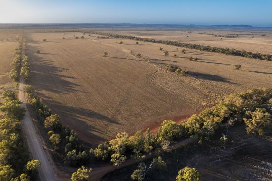 1489 Carlisle-Trundle Road, Trundle, NSW 2875