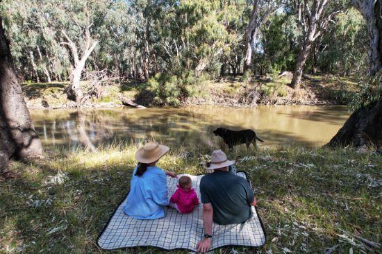 1655 Kiacatoo Road, Condobolin, NSW 2877