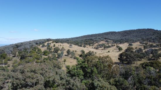 1713 Back Creek Road, Tenterfield, NSW 2372