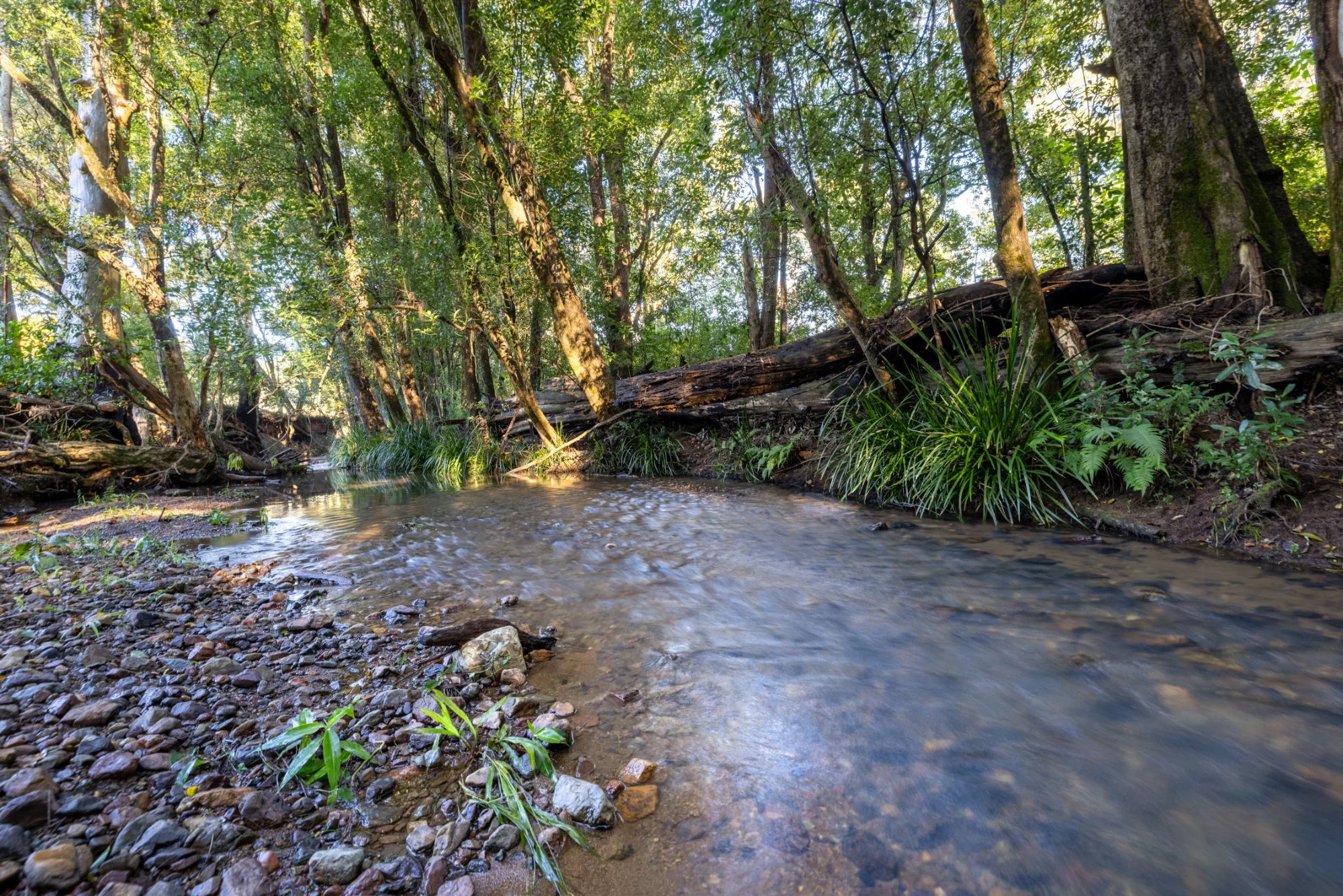 29 Mount Pleasant Road, Wherrol Flat, NSW 2429