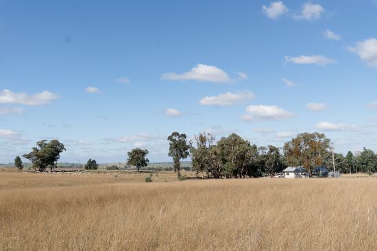 "Glen Alvin" &  "Lockyer", Elong Elong, NSW 2831