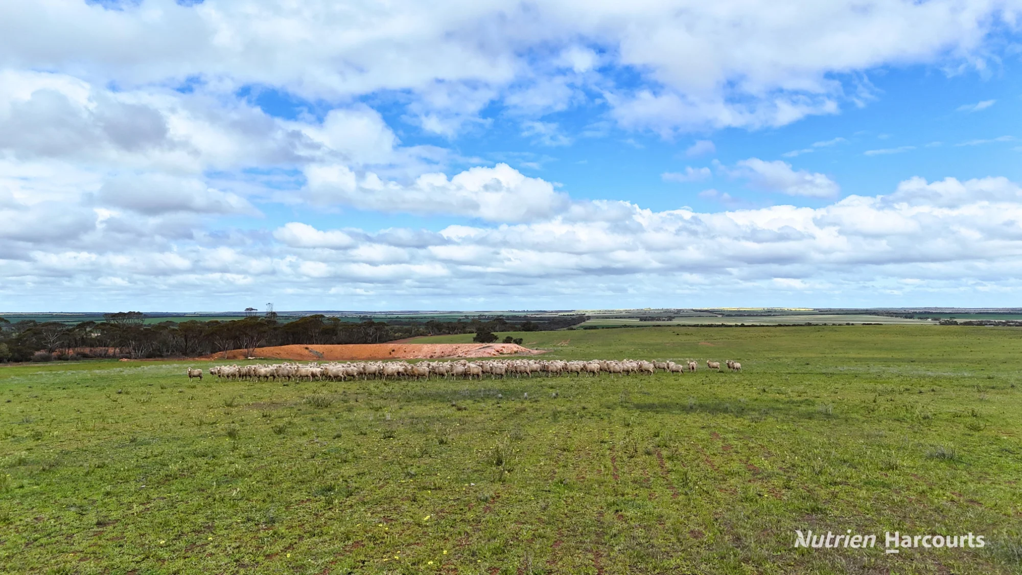 Lot 1 Calzoni Road, Woolocutty, WA 6369