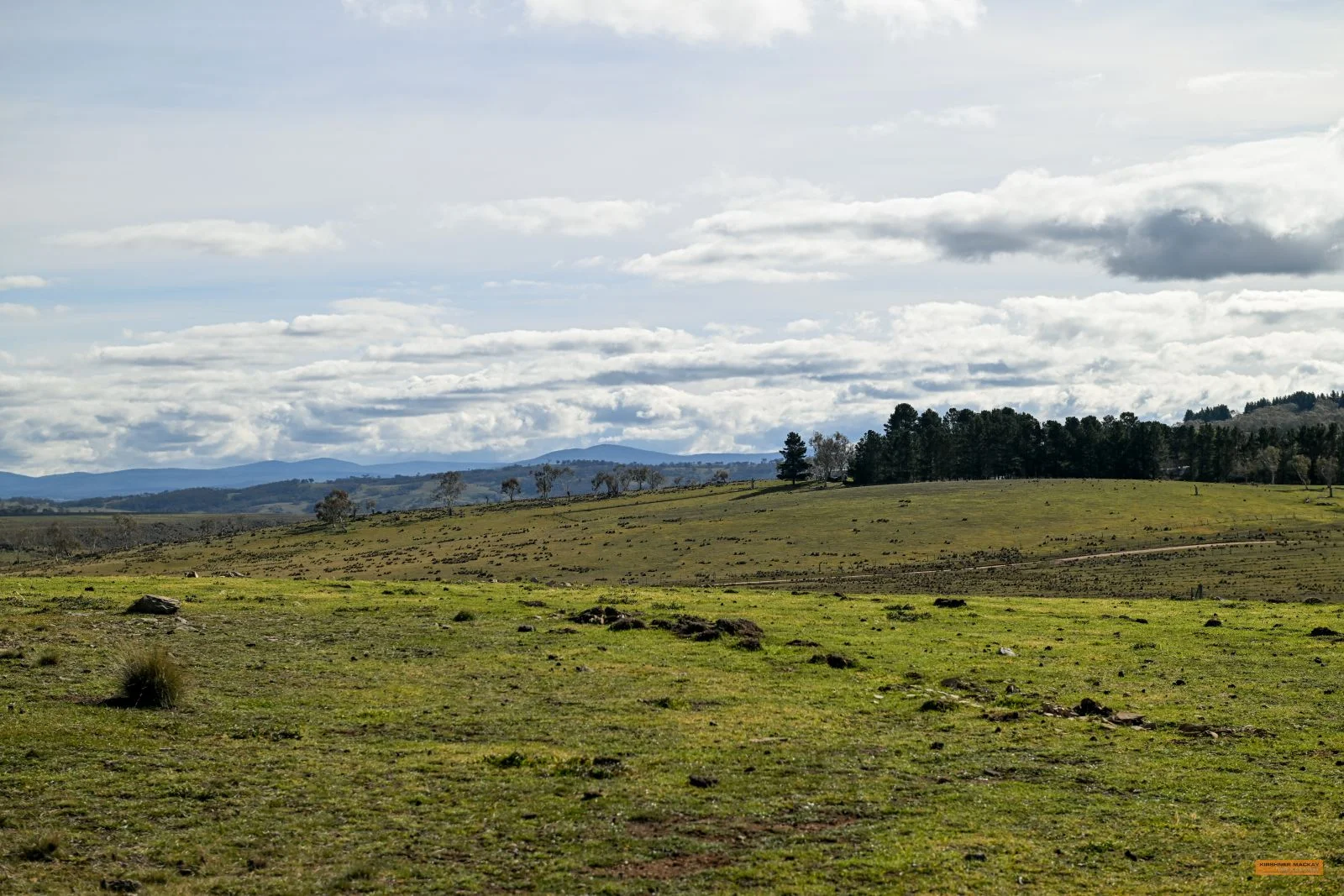 "Part Braeside" Caddigat Road, Dry Plain, NSW 2630