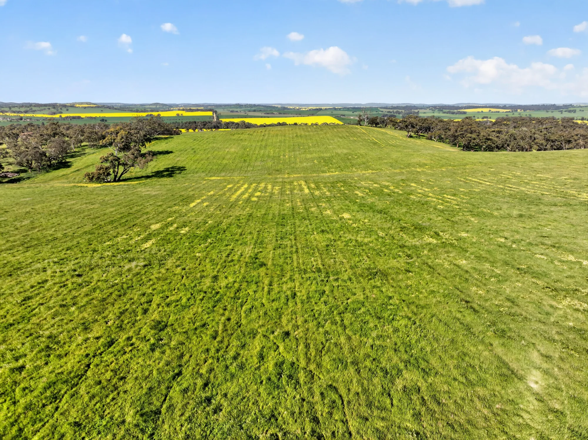 'Woolshed' Kelly Road, Undalya, SA 5451