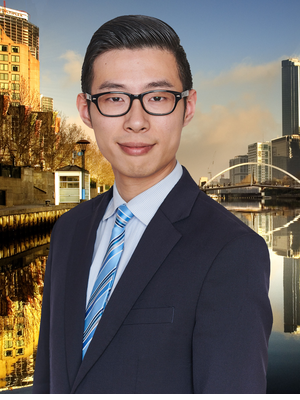 Nelson Wu  Real Estate Agent