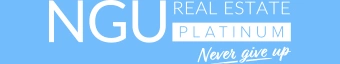 Real Estate Agency NGU - Platinum