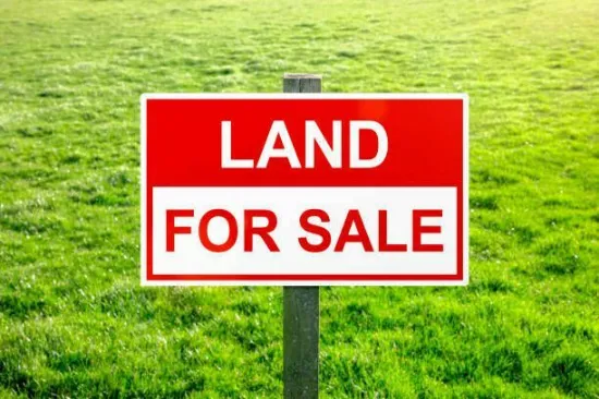 O'Connell Street, Caddens, NSW, 2747