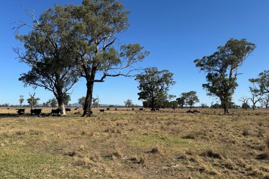 122 Reapers Road, Culcairn, NSW 2660