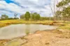 1706 ESK CROWS NEST RD, Biarra, Qld 4313-Image