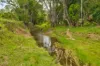 1706 ESK CROWS NEST RD, Biarra, Qld 4313-Image