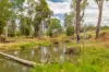 1706 ESK CROWS NEST RD, Biarra, Qld 4313-Image