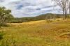 1706 ESK CROWS NEST RD, Biarra, Qld 4313-Image