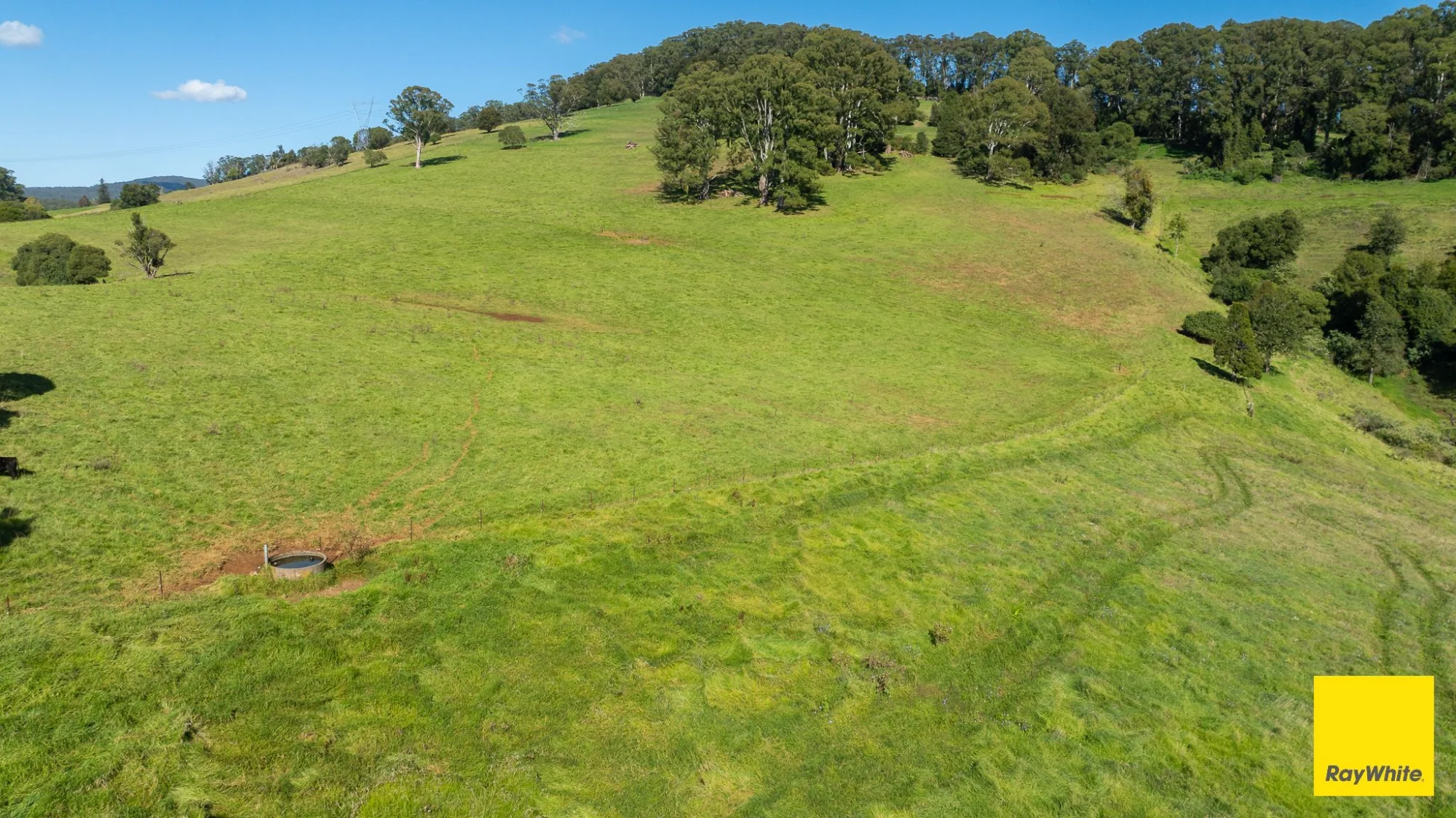 235 Beaumonts Road, Dorrigo NSW 2453
