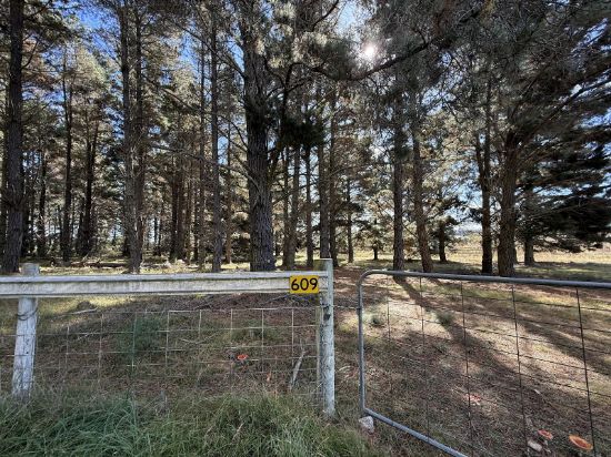 609 Jacqua Road, Windellama, NSW 2580