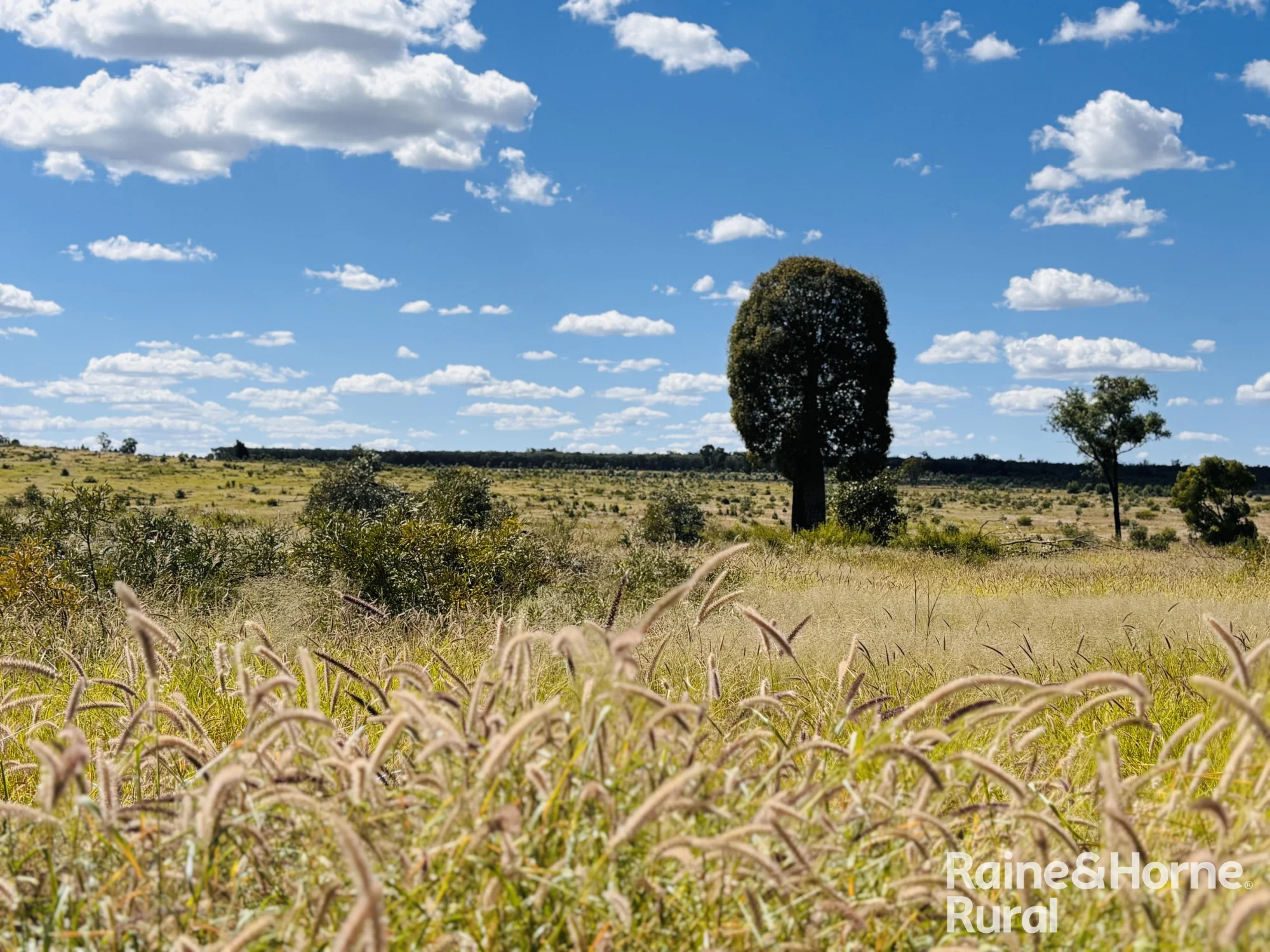 640 Carrington Road, Roma, Qld 4455