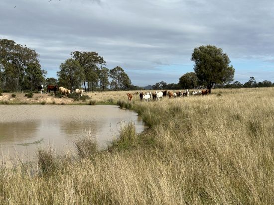 Lot 1 & 3 Kampfs Road, Goombungee, Qld 4354