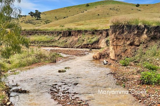 Mount Darling Road, Wyangala, NSW 2808