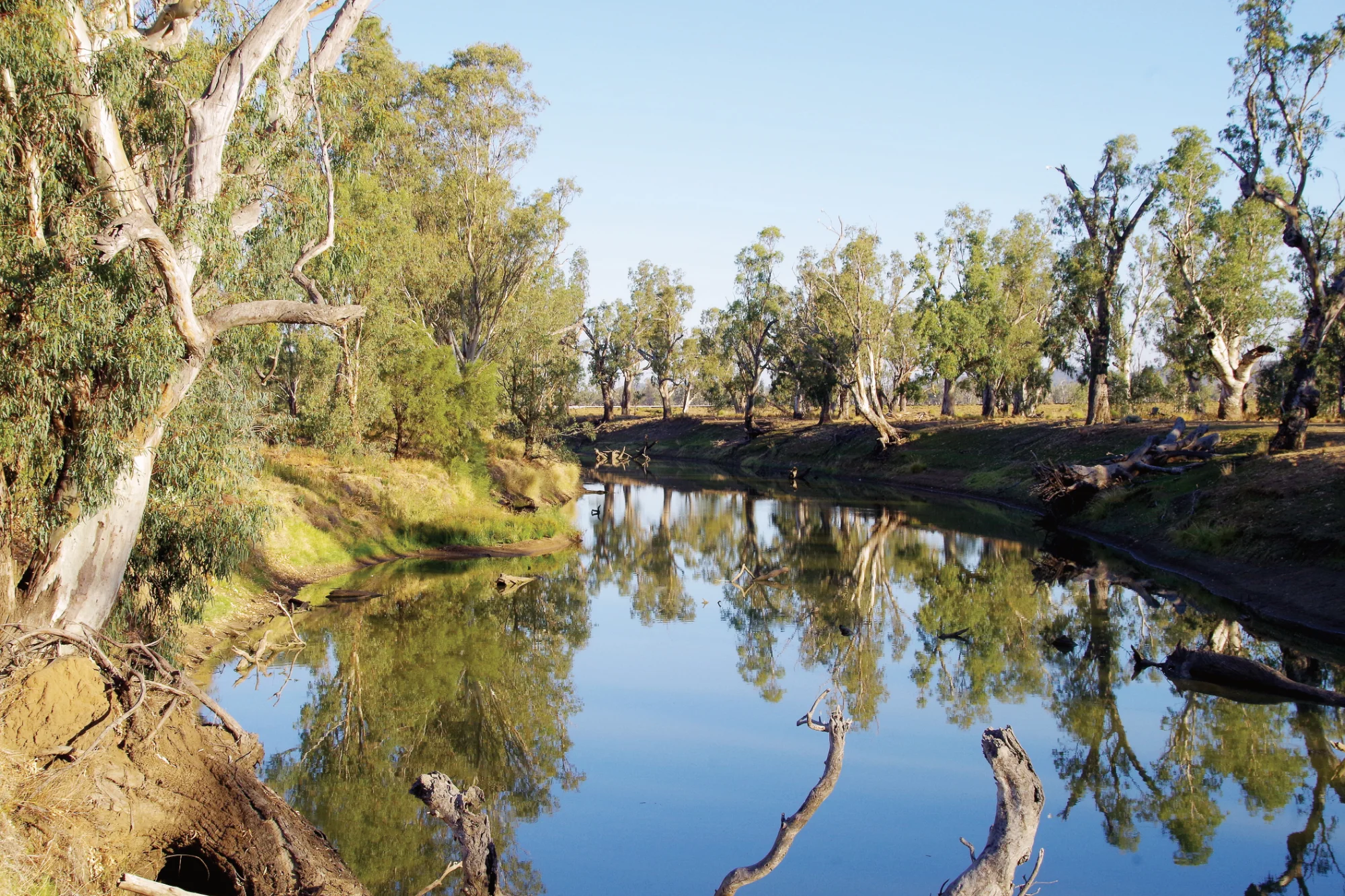 Namoi River Water Auction, Narrabri, NSW 2390