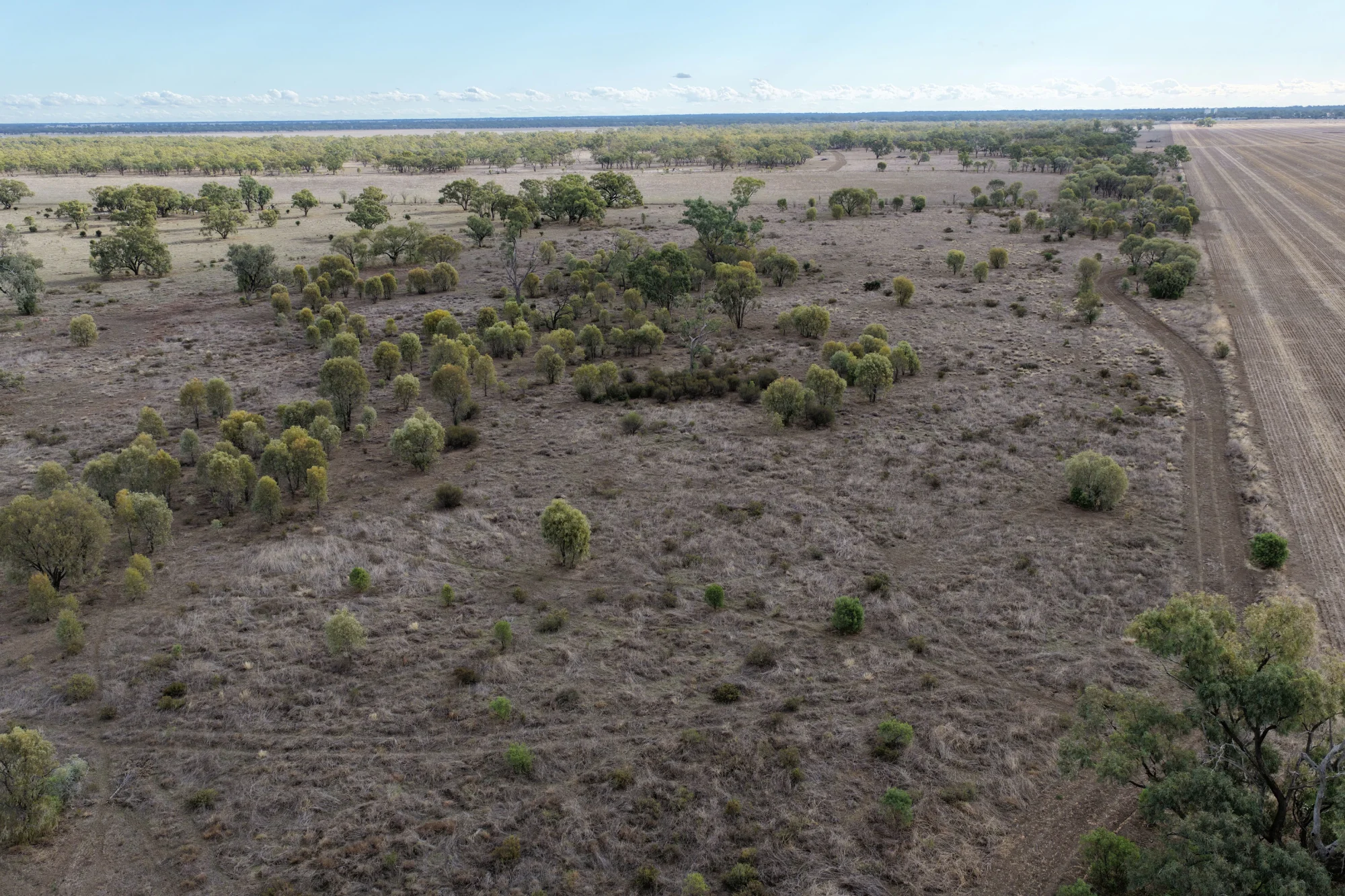Narella Park & The Block, Walgett, NSW 2832