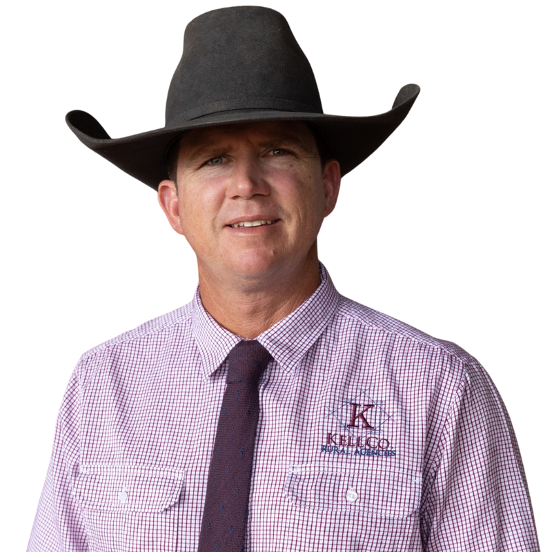 Peter Turich - Real Estate Agent