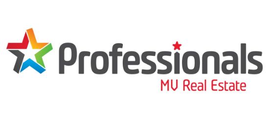Professionals - MV Real Estate - Real Estate Agency