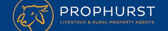 Prophurst - Real Estate Agency