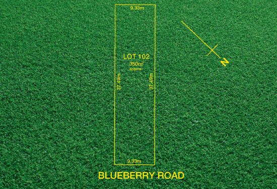 Proposed Lot 102/2 Blueberry Road, Paradise, SA 5075