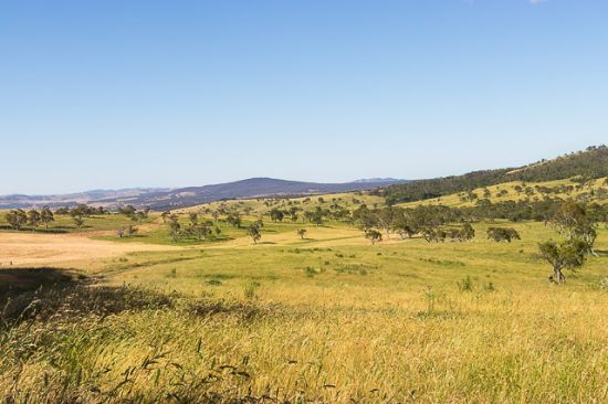 Proposed Lot 3 Gidleigh Lane, Bungendore, NSW 2621
