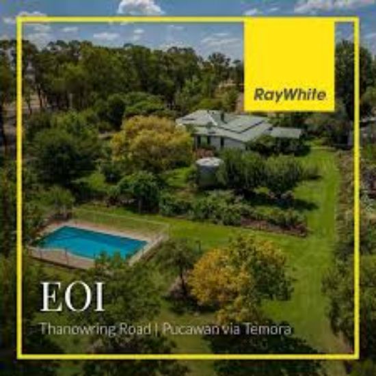 Ray White - Wagga Wagga - Real Estate Agency