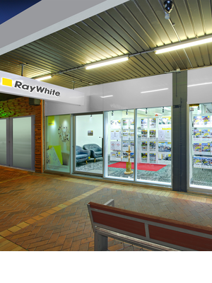 Ray White Lidcombe Real Estate Agent