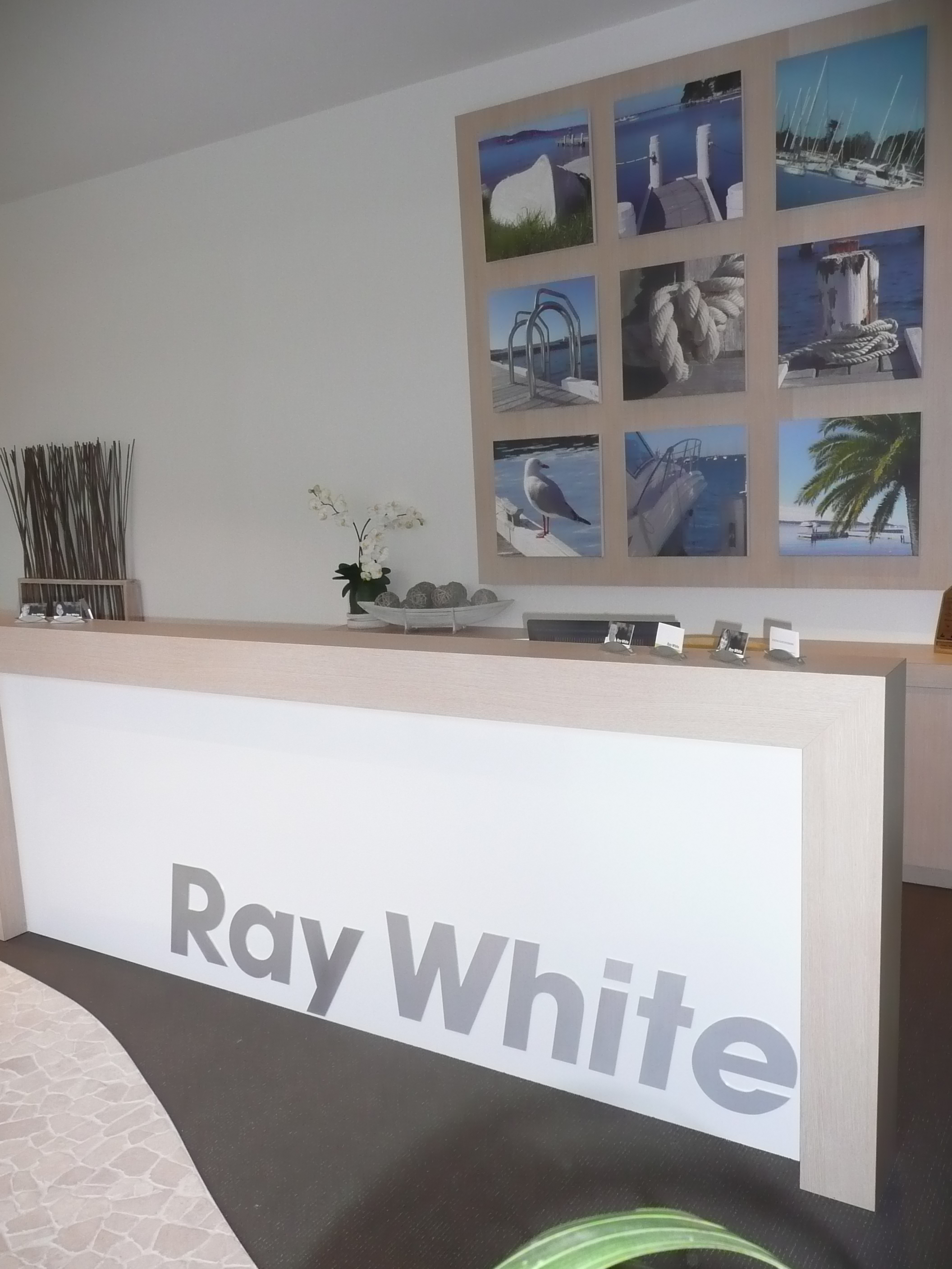 Ray White Toronto Reception Real Estate Agent