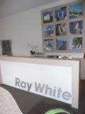 Ray White Toronto Reception - Real Estate Agent From - Ray White - Toronto & North Lake Macquarie