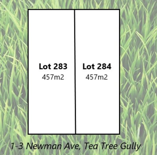 1-3 Newman Avenue, Tea Tree Gully, SA 5091
