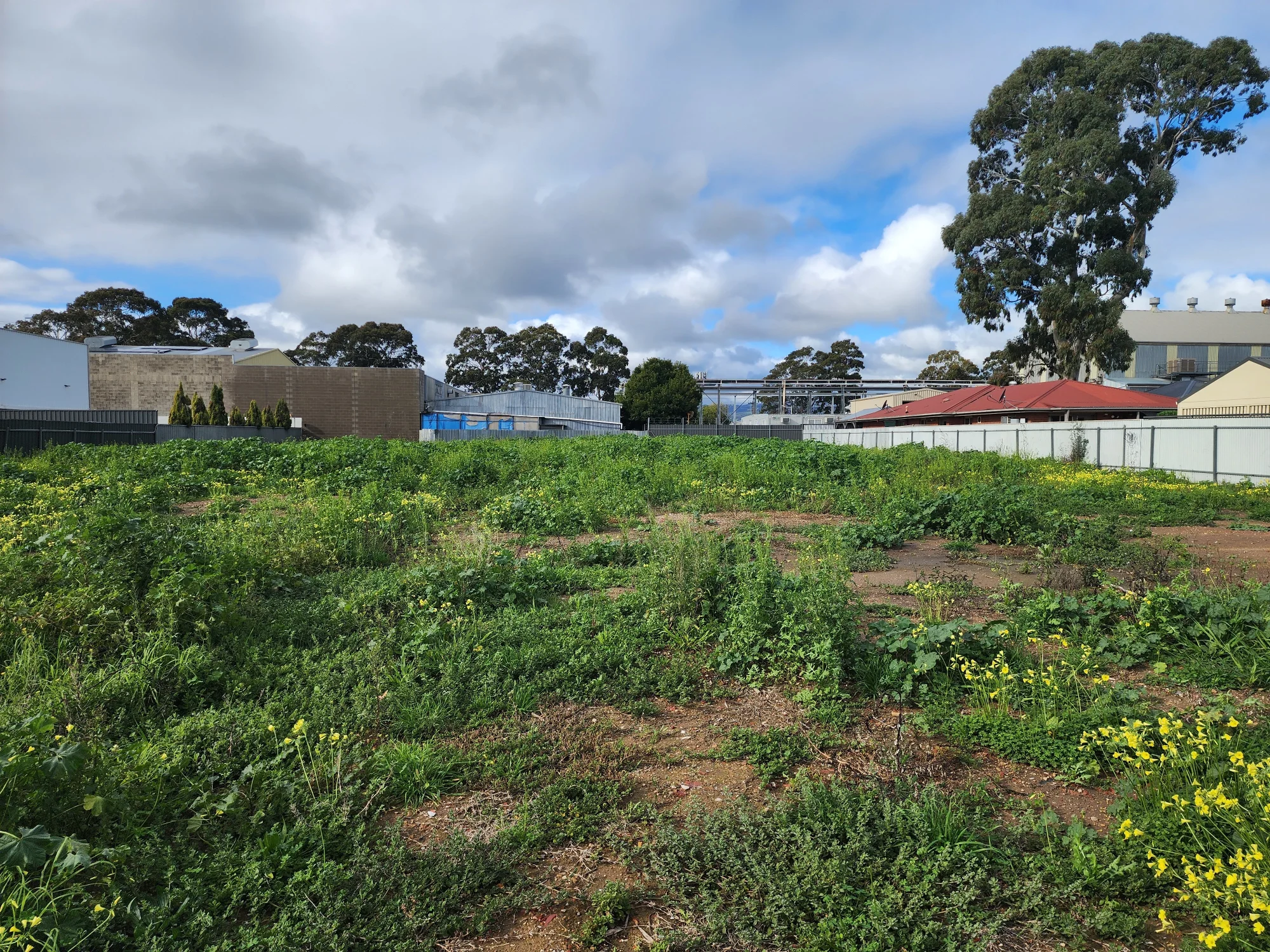 1 and 3 Barnes Ave, Marleston, SA 5033