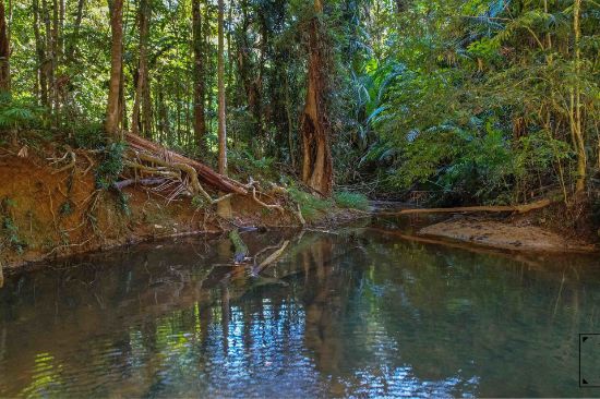1 Saddle Mountain Road, Kuranda, Qld 4881