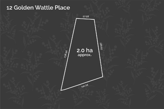 12 Golden Wattle Place, Kilmore, Vic 3764