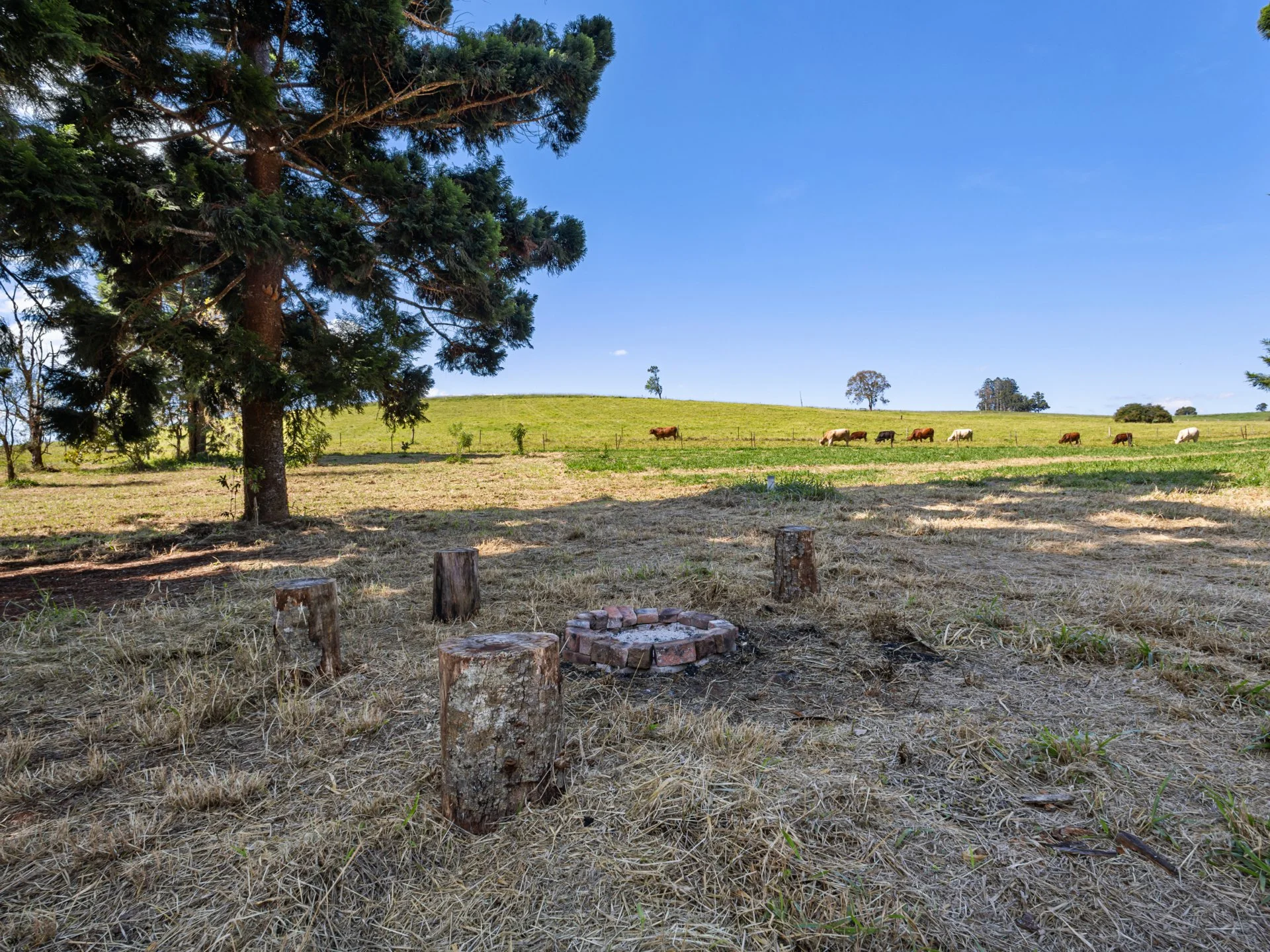155 Forrester Road, Malanda, Qld 4885