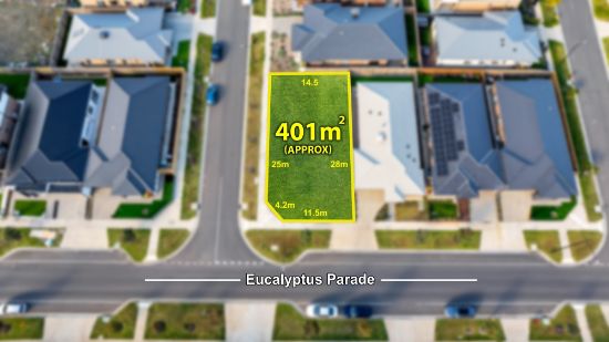 156 Eucalyptus Pde, Donnybrook, Vic 3064