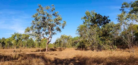 1875 Gorge Road, Katherine, NT 0850