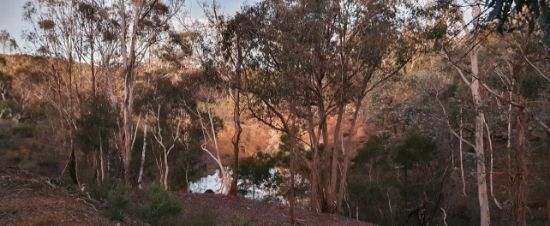 266 Strawberry Creek Road, Windellama, NSW 2580