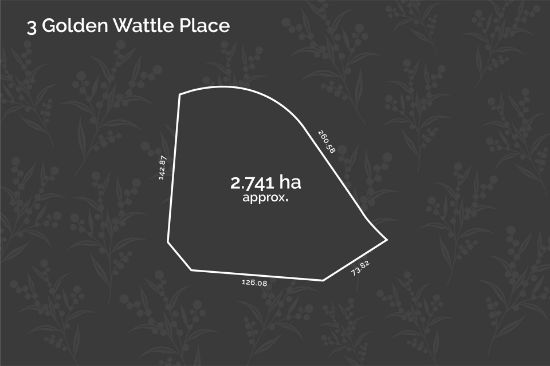 3 Golden Wattle Place, Kilmore, Vic 3764